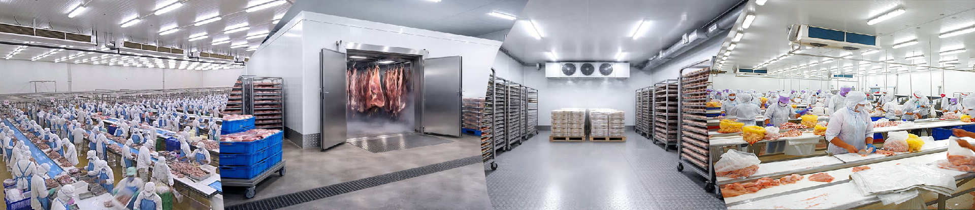 Ψυκτικός Θάλαμος